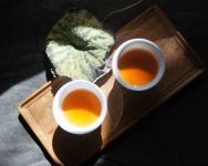 青茶十大品種(青茶有哪幾種茶葉)
